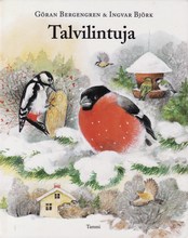 Talvilintuja