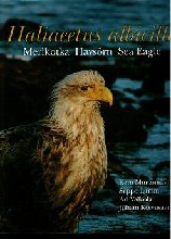 Haliaeetus Albicilla merikotka