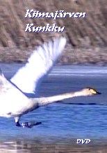 Kiimajärven kunkku