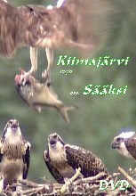 Kiimajärvi sääksi