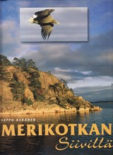 Merikotkan siivillä