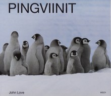 Pingviinit