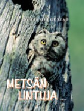 Metsän lintuja