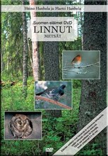 Linnut metsät