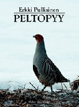 Peltopyy