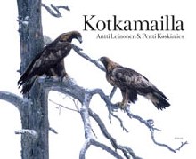Kotkamailla