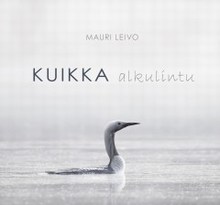 Kuikka Alkulintu