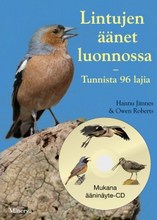 Lintujen äänet luonnossa