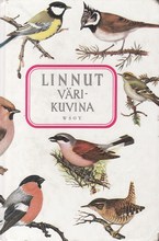 Linnut värikuvina