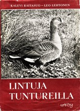 Lintuja tuntureilla