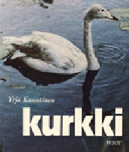 Kurkki