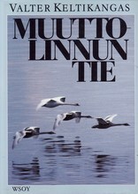 Muuttolinnun tie