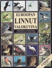 Euroopan linnut valokuvina