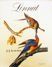 Linnut