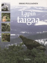 Lapin taigaa