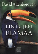 Lintujen elämää